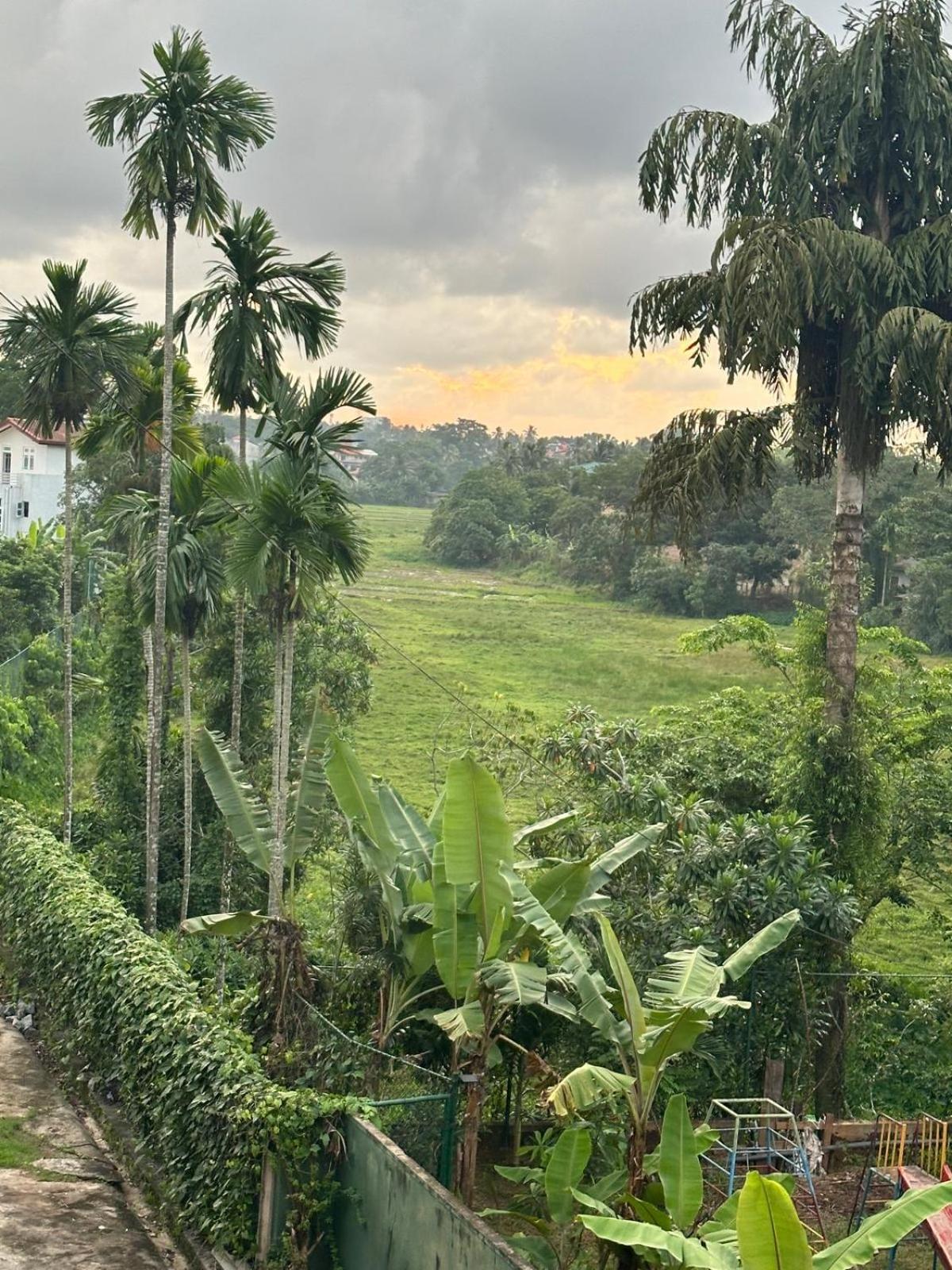 Spacious Eco Guest House Colombo Sri Dźajawardanapura Kotte Zewnętrze zdjęcie